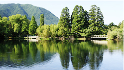 荊門生態(tài)塘